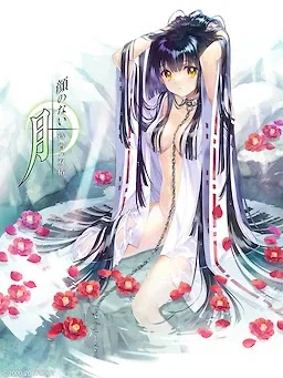 无颜之月-待宵双椿 无颜之月-待宵双椿 电脑游戏下载 封面图